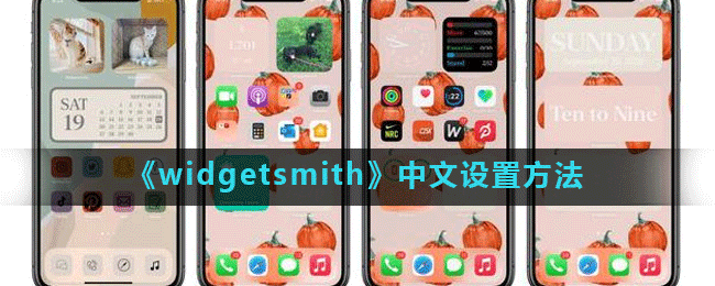 《widgetsmith》中文设置方法