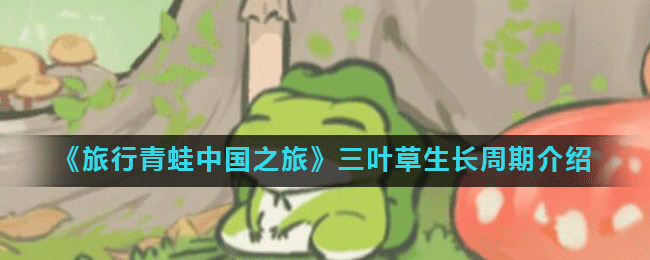 《旅行青蛙中国之旅》三叶草生长周期介绍