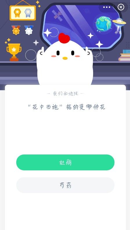 花中西施指的是哪种花