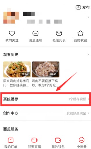《西瓜视频》视频下载方法