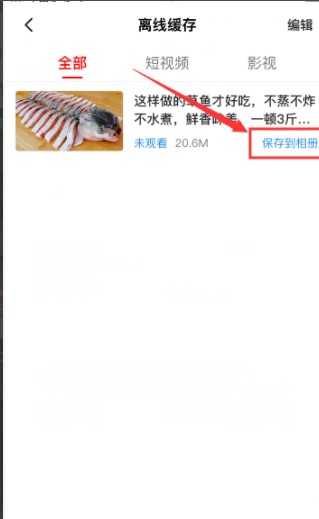 《西瓜视频》视频下载方法