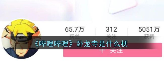 《哔哩哔哩》卧龙寺是什么梗