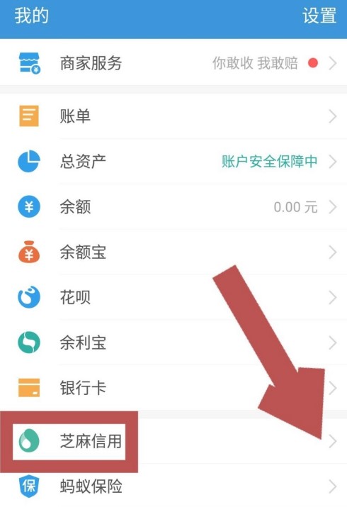 《支付宝》2021芝麻粒获取方法