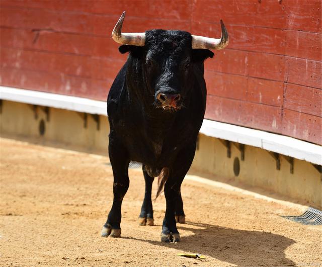 2021牛年祝福语大全