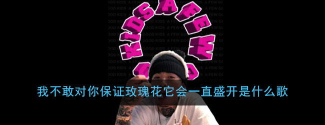 我不敢对你保证玫瑰花它会一直盛开是什么歌