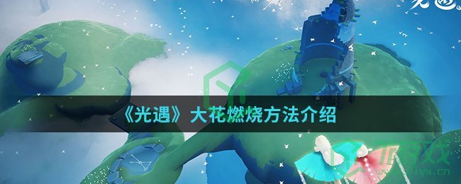 《光遇》大花燃烧方法介绍