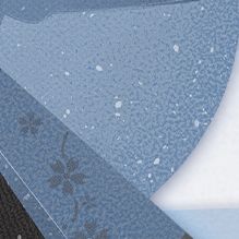 《阴阳师：妖怪屋》雪女霜雪连莲皮肤价格介绍