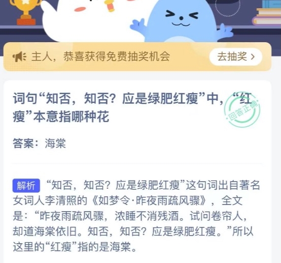 词句“知否，知否？应是绿肥红瘦”中，“红瘦”本意指哪种花