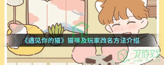 《遇见你的猫》猫咪及玩家改名方法介绍