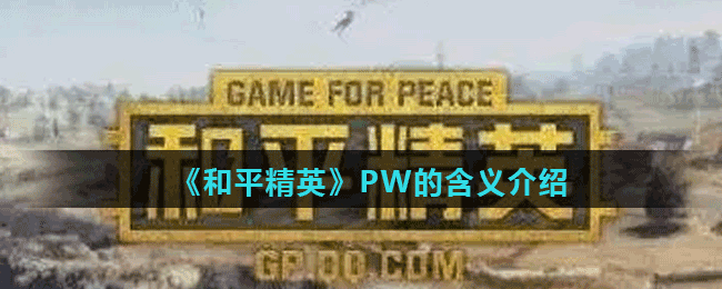 《和平精英》PW的含义介绍