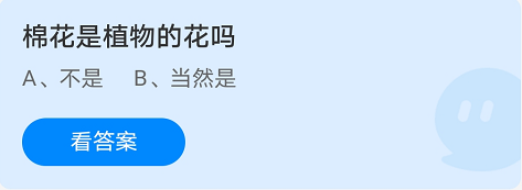棉花是植物的花吗