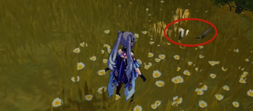 《原神》靴子鼬捕捉位置分享介绍