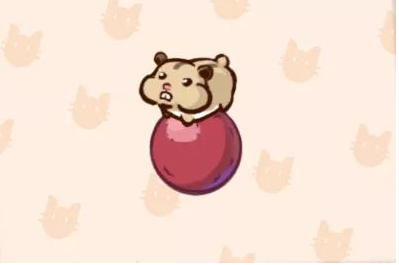 《家有小店》宠物板栗介绍