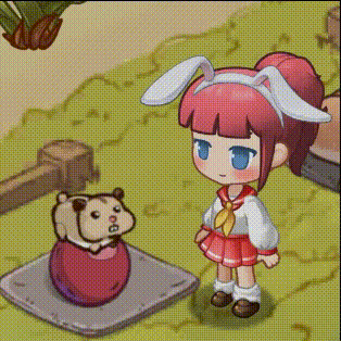 《家有小店》宠物板栗介绍