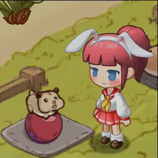 《家有小店》宠物板栗介绍