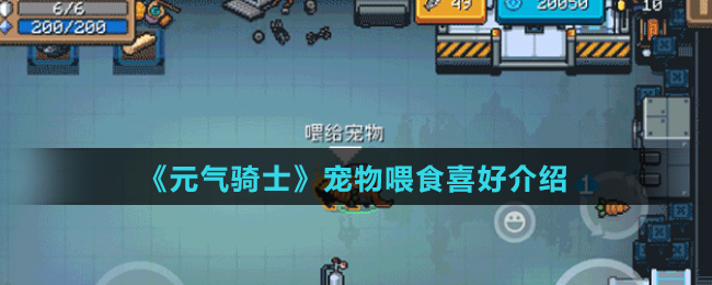 《元气骑士》宠物喂食喜好介绍