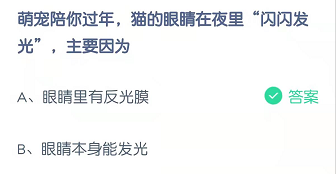 萌宠陪你过年，猫的眼睛在夜里“闪闪发光”，主要因为