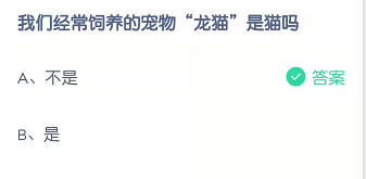 我们经常饲养的宠物“龙猫”是猫吗