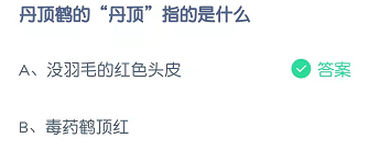 丹顶鹤的丹顶指的是什么