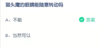 猫头鹰的眼睛能随意转动吗