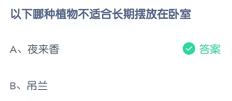 以下哪种植物不适合长期放在卧室
