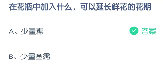 在花瓶中加入什么，可以延长鲜花的花期