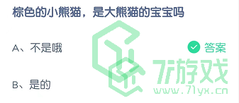 棕色的小熊猫，是大熊猫的宝宝吗