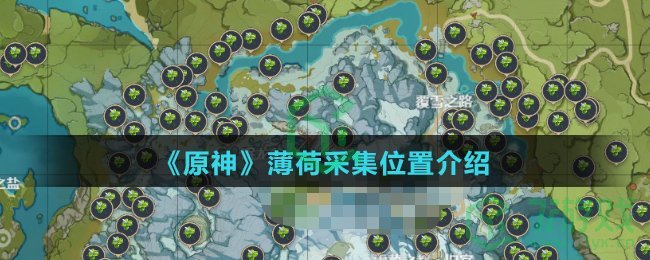 《原神》薄荷采集位置介绍