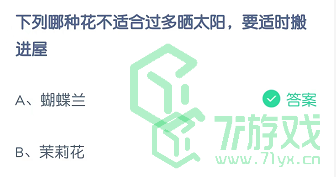 下面哪种花不适合过多晒太阳，要适时搬进屋