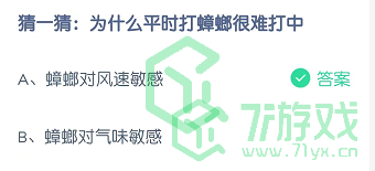 猜一猜：为什么平时打蟑螂很难打中