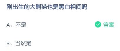 刚出生的大熊猫也是黑白相间吗