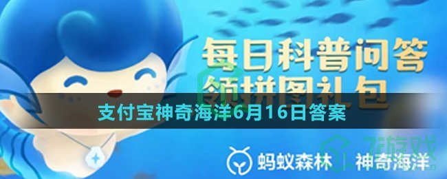 红树林被称为“海岸卫士”，其为人类提供的主要生态服务不包括