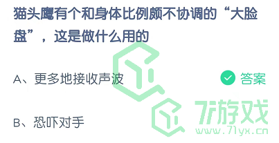 猫头鹰有个身体比例颇不协调的“大脸盘子”，这是做什么用的