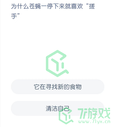 为什么苍蝇一停下来就喜欢“搓手”