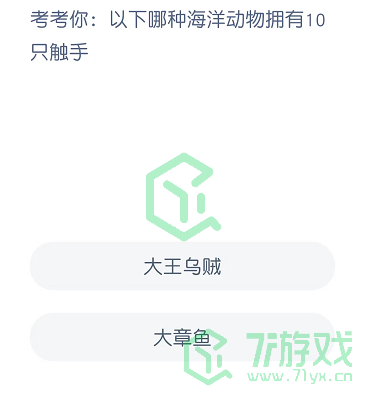 考考你：以下哪种海洋动物拥有10只触手