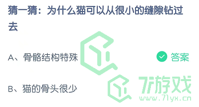 猜一猜：为什么猫可以从很小的缝隙钻过去