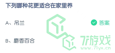 下列哪种花更适合在家里养