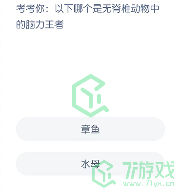 考考你：以下哪个是无脊椎动物中的脑力王者