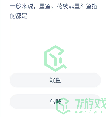 一般来说，墨鱼、花枝或墨斗鱼指的都是