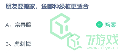 朋友要搬家，送哪种绿植更合适