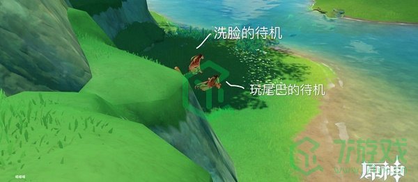 《原神》动物行为拍摄完成攻略介绍