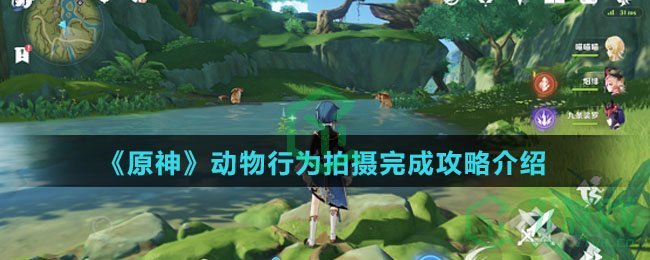 《原神》动物行为拍摄完成攻略介绍