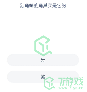 独角鲸的角其实是它的