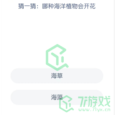 猜一猜：哪种海洋植物会开花
