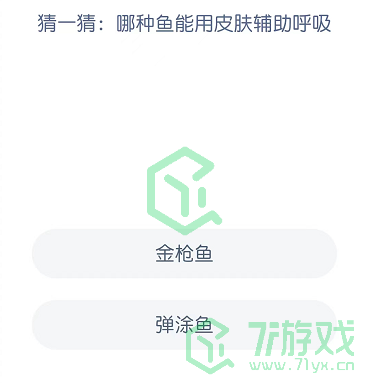 猜一猜：哪种鱼能用皮肤辅助呼吸