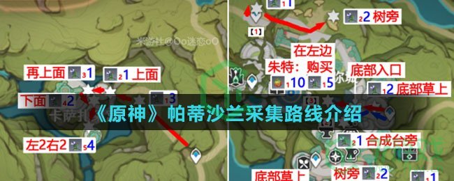 《原神》帕蒂沙兰采集路线介绍