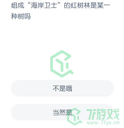 组成“海岸卫士”的红树林是某一种树吗