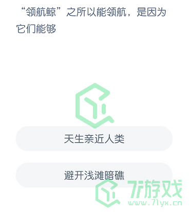   “领航鲸”之所以能领航，是因为它们能够