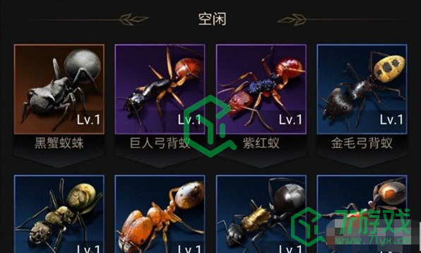 《小小蚁国》兵种搭配推荐介绍