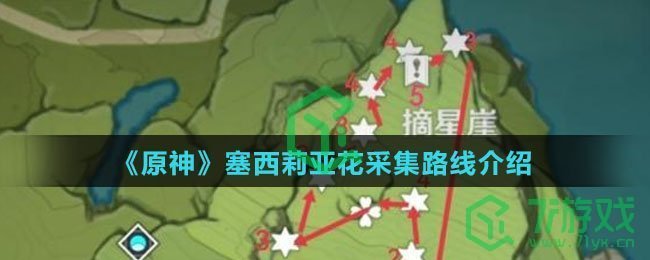 《原神》塞西莉亚花采集路线介绍
